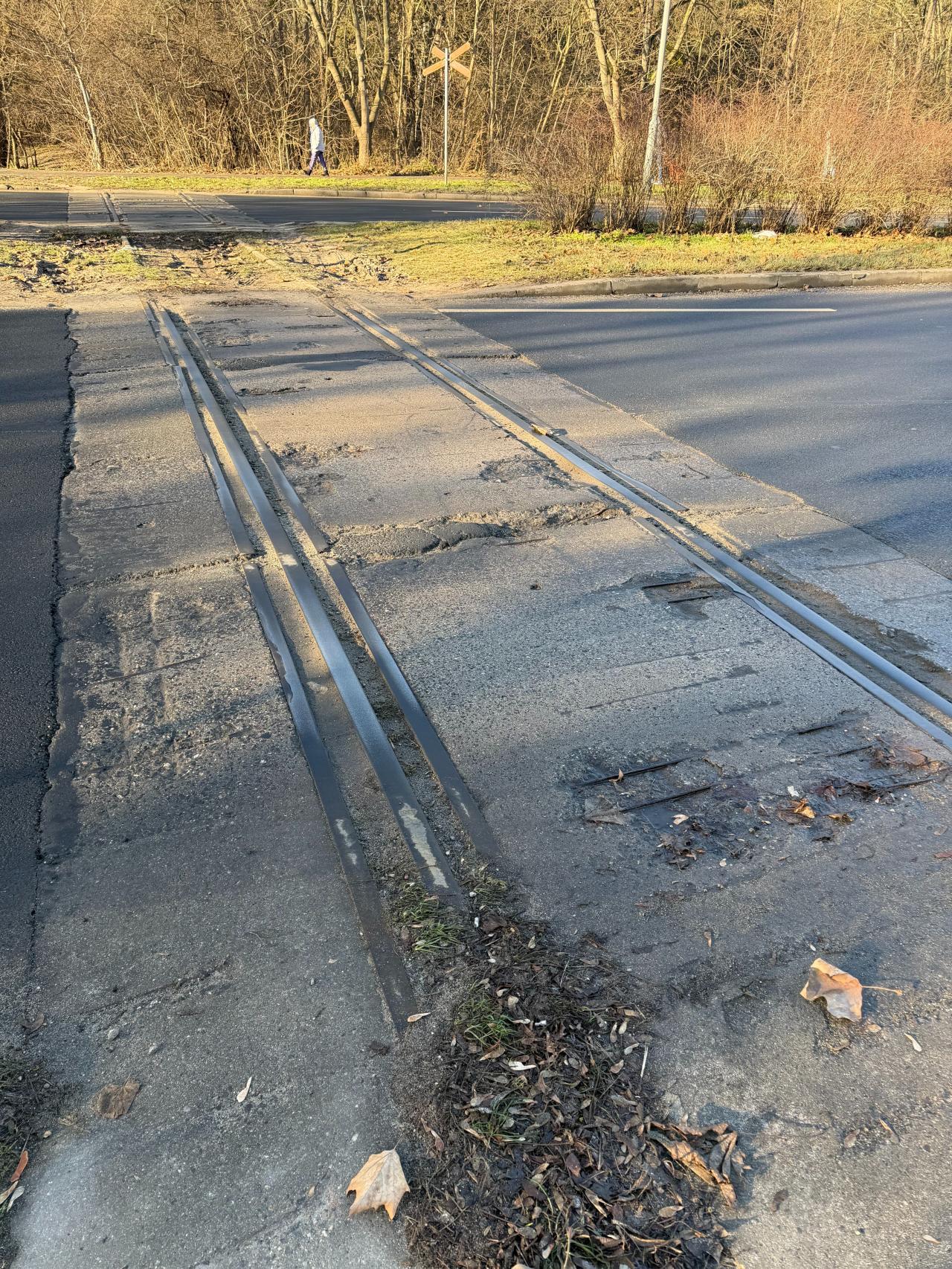 Tory nieużywane od lat na uczęszczanej ulicy, przy nich wyremontowany asfalt. "Jeszcze chwila i przez stare tory będziemy przejeżdżać po drutach"