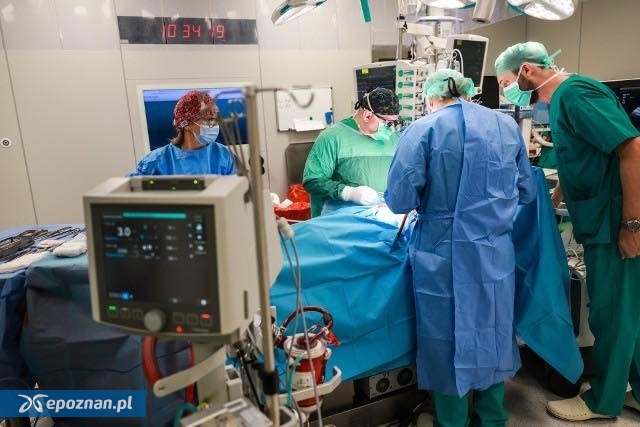 fot. Brave Heart Foundation FB