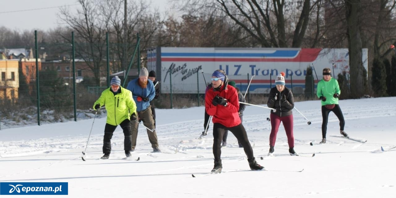 Niezwykła atrakcja znów pod Poznaniem. "Coś, czego próżno szukać w Wielkopolsce"