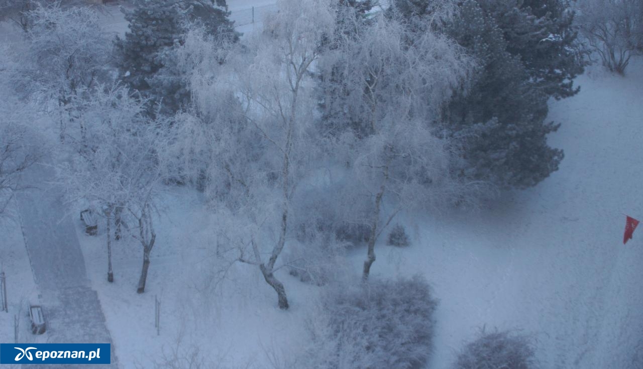 fot. Włodzimierz Hoppel