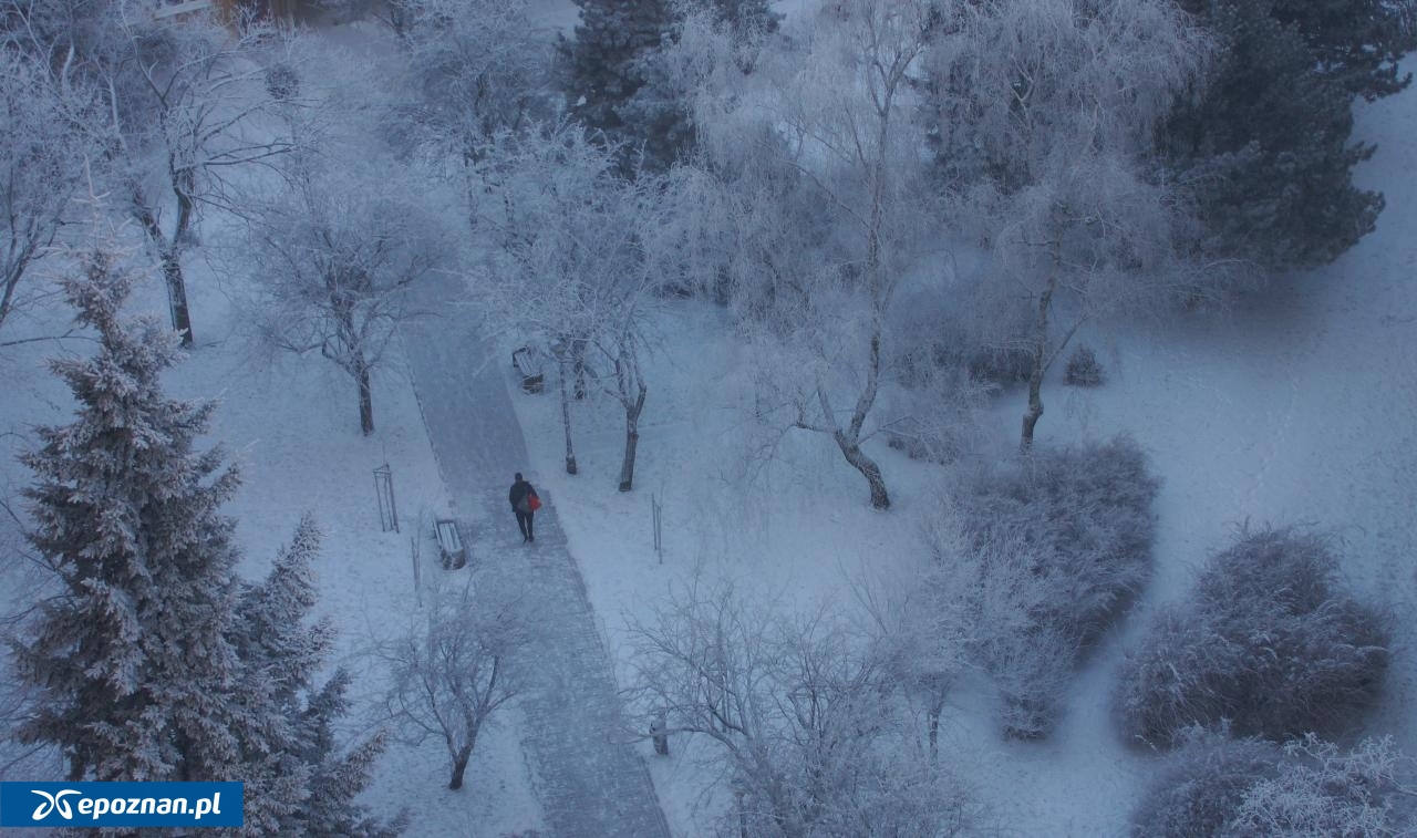 fot. Włodzimierz Hoppel