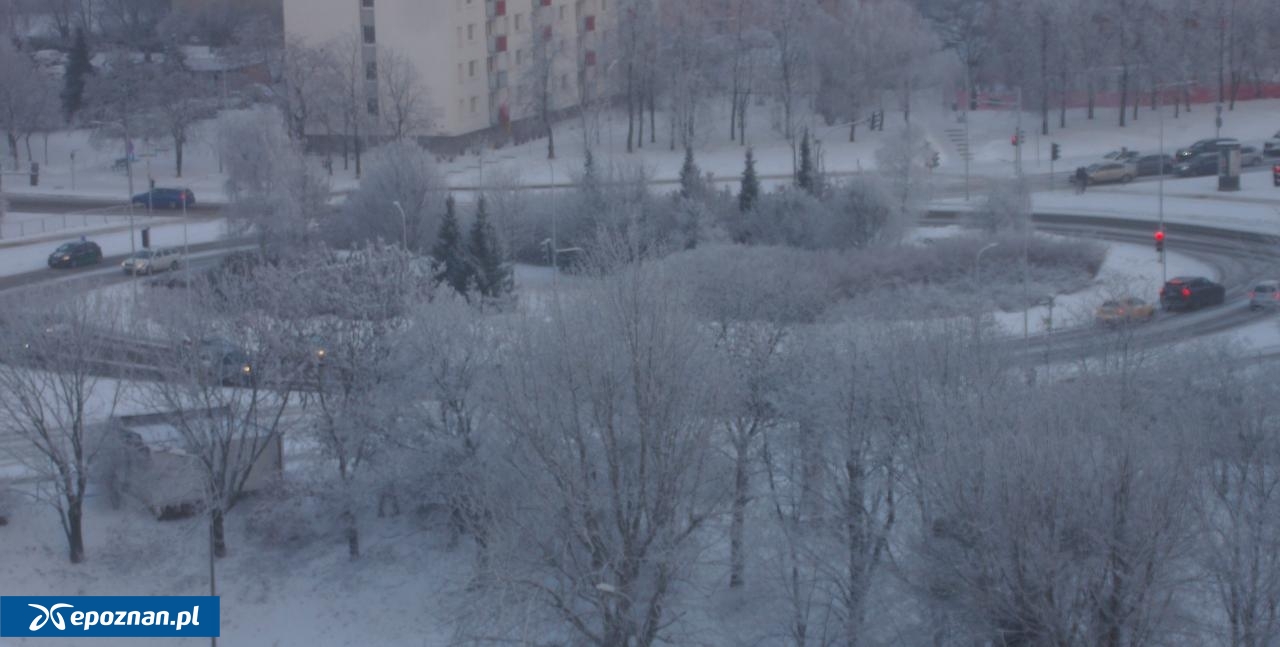 fot. Włodzimierz Hoppel