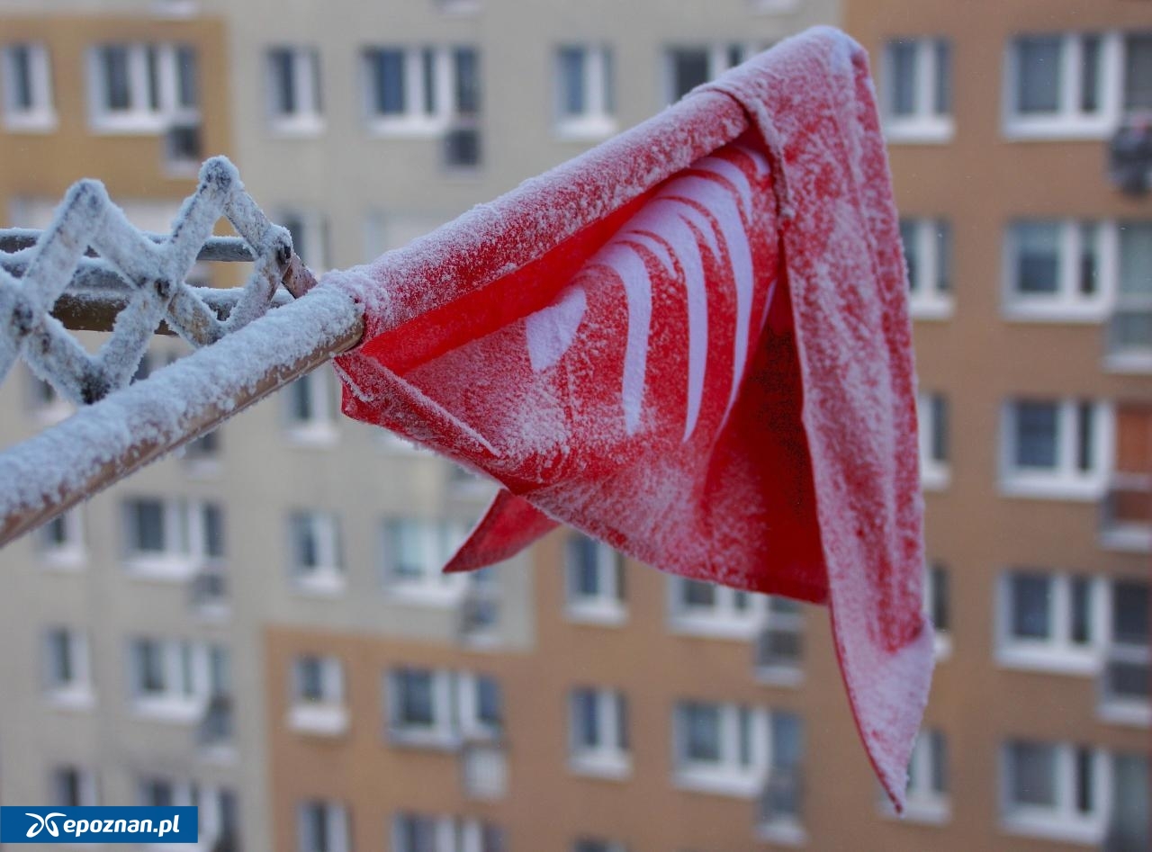 fot. Włodzimierz Hoppel