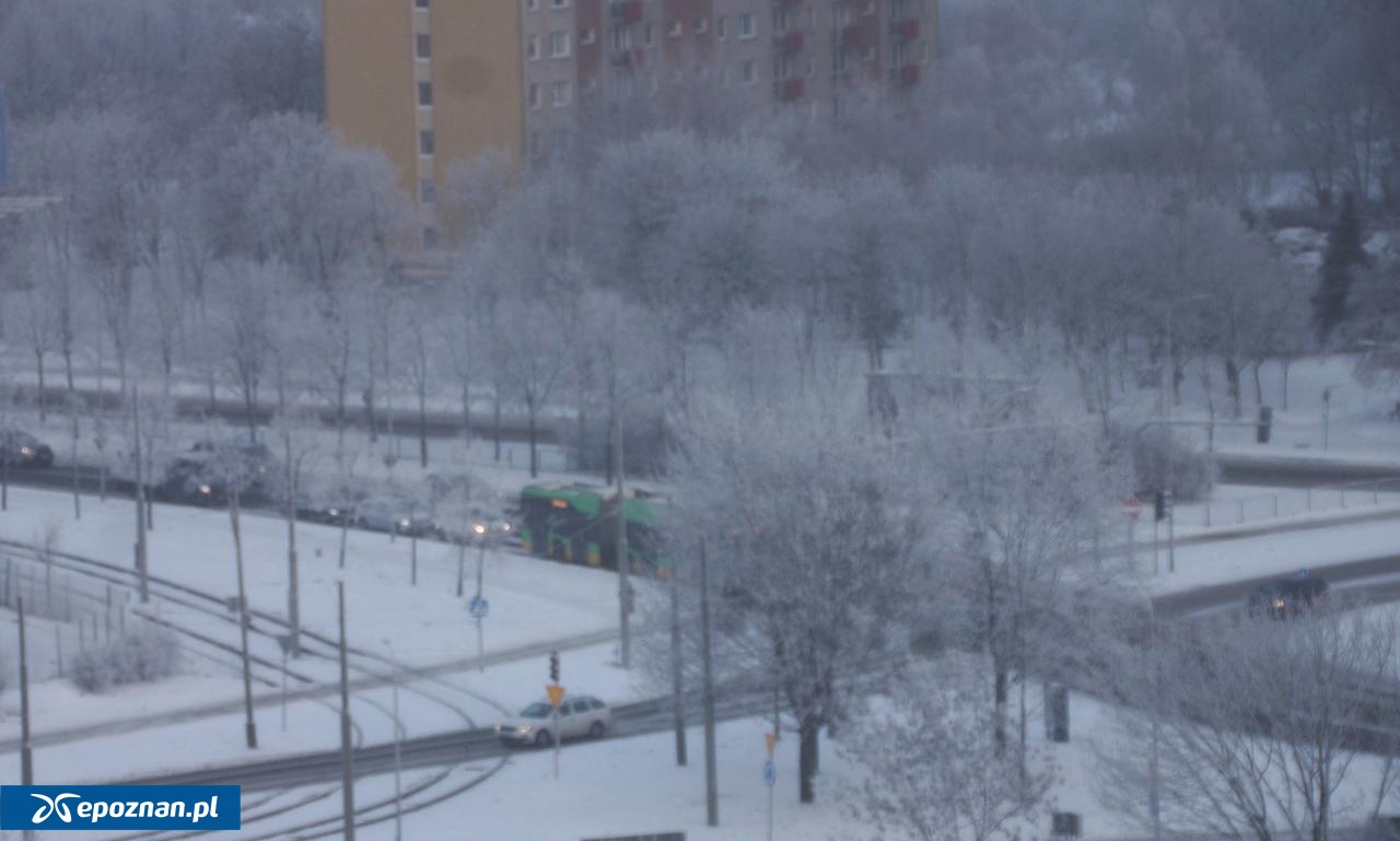 fot. Włodzimierz Hoppel