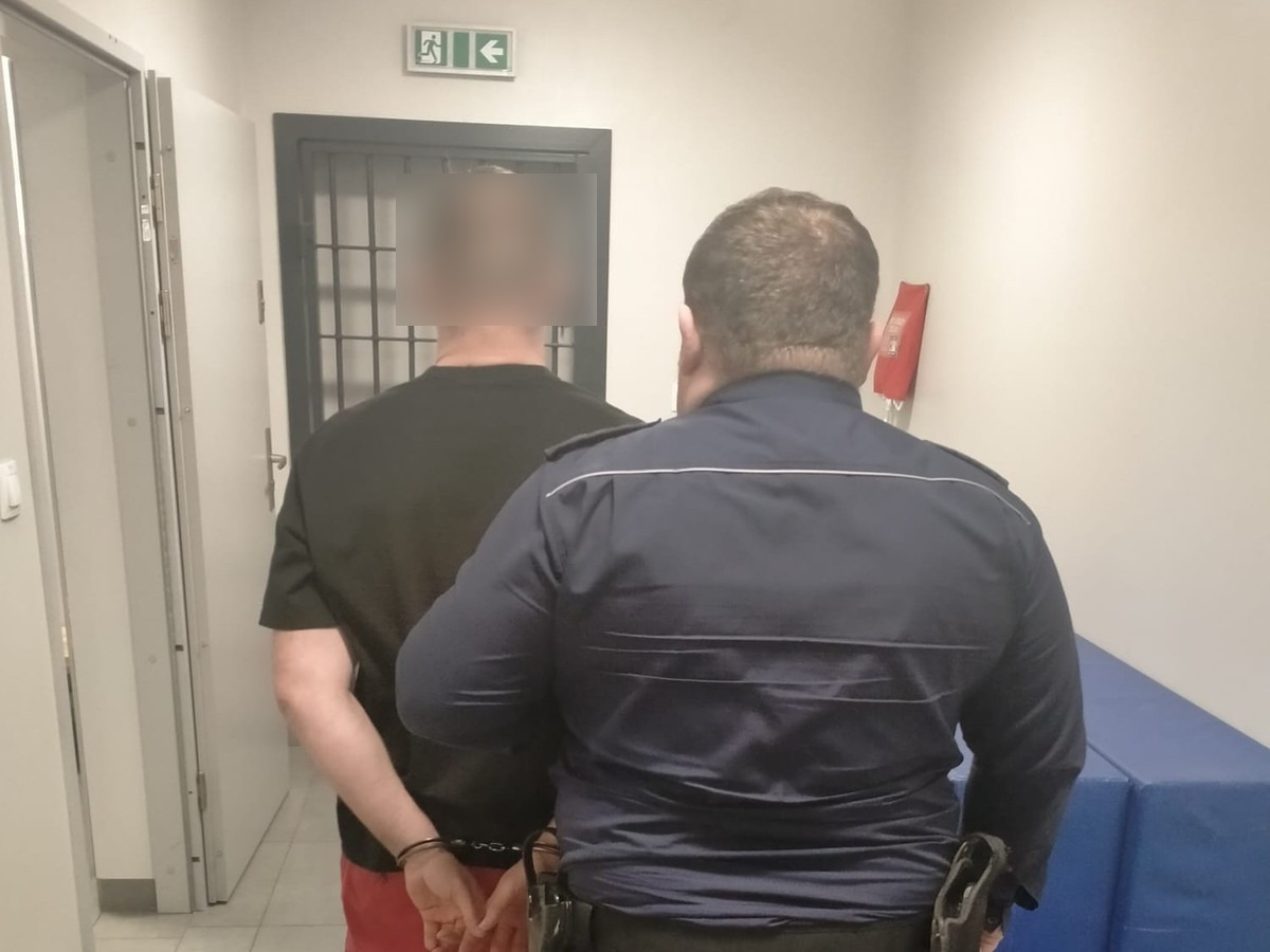 Mężczyzna, który w sylwestrową noc skopał Mustanga, znów wpadł w ręce policji