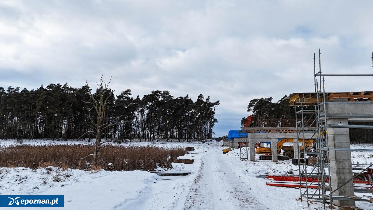 fot. WZDW w Poznaniu / FB