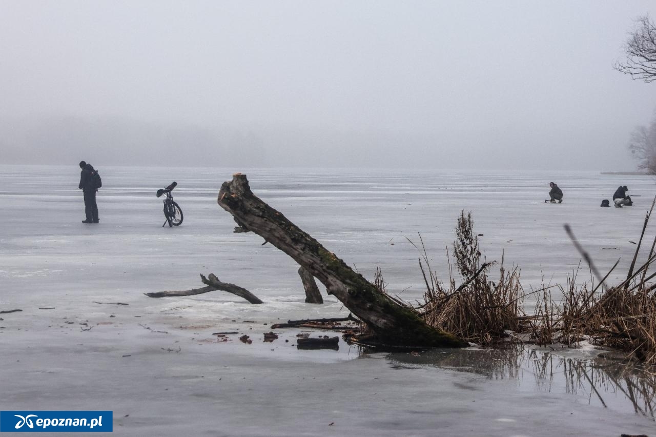 fot. Tomasz Sokołowski