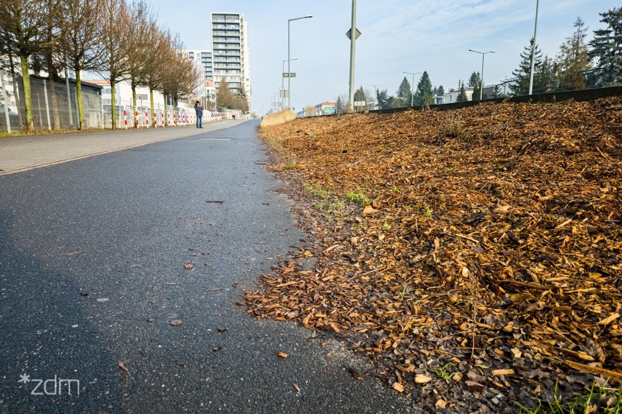 fot. Bartosz Jankowski / ZDM