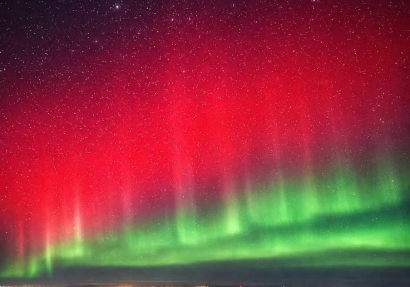 fot. Dariusz Marchwiak