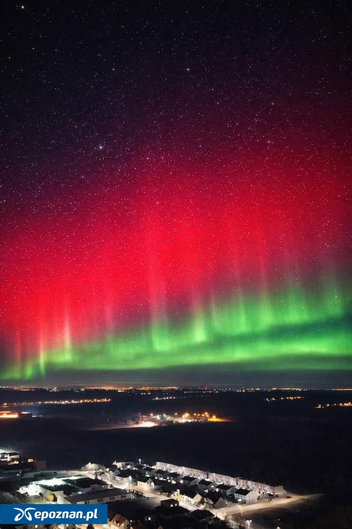 fot. Dariusz Marchwiak