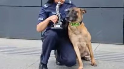 Policjanci wystawili na licytację dla WOŚP voucher na dzień szkoleniowy z przewodnikami psów