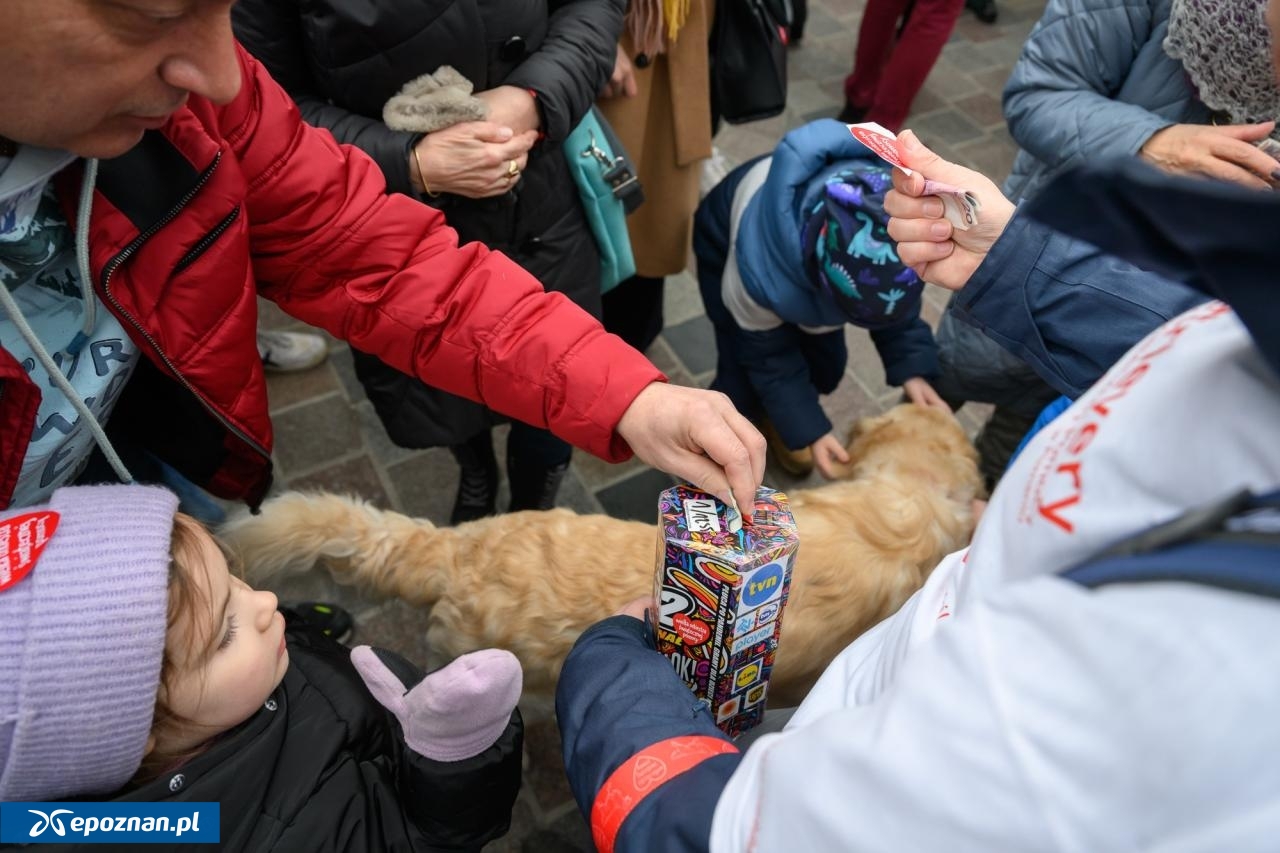 fot. Goldeny WOŚP Poznań
