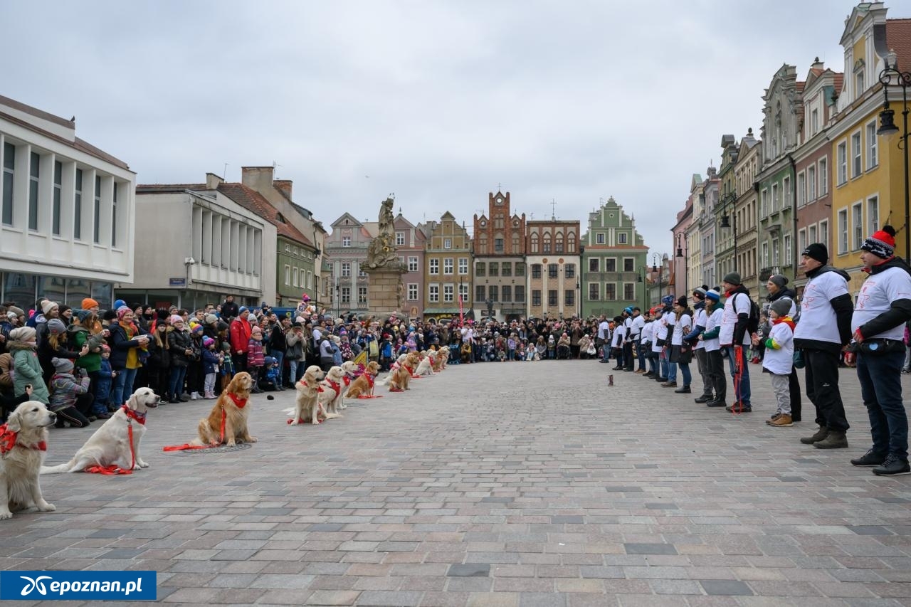 fot. Goldeny WOŚP Poznań