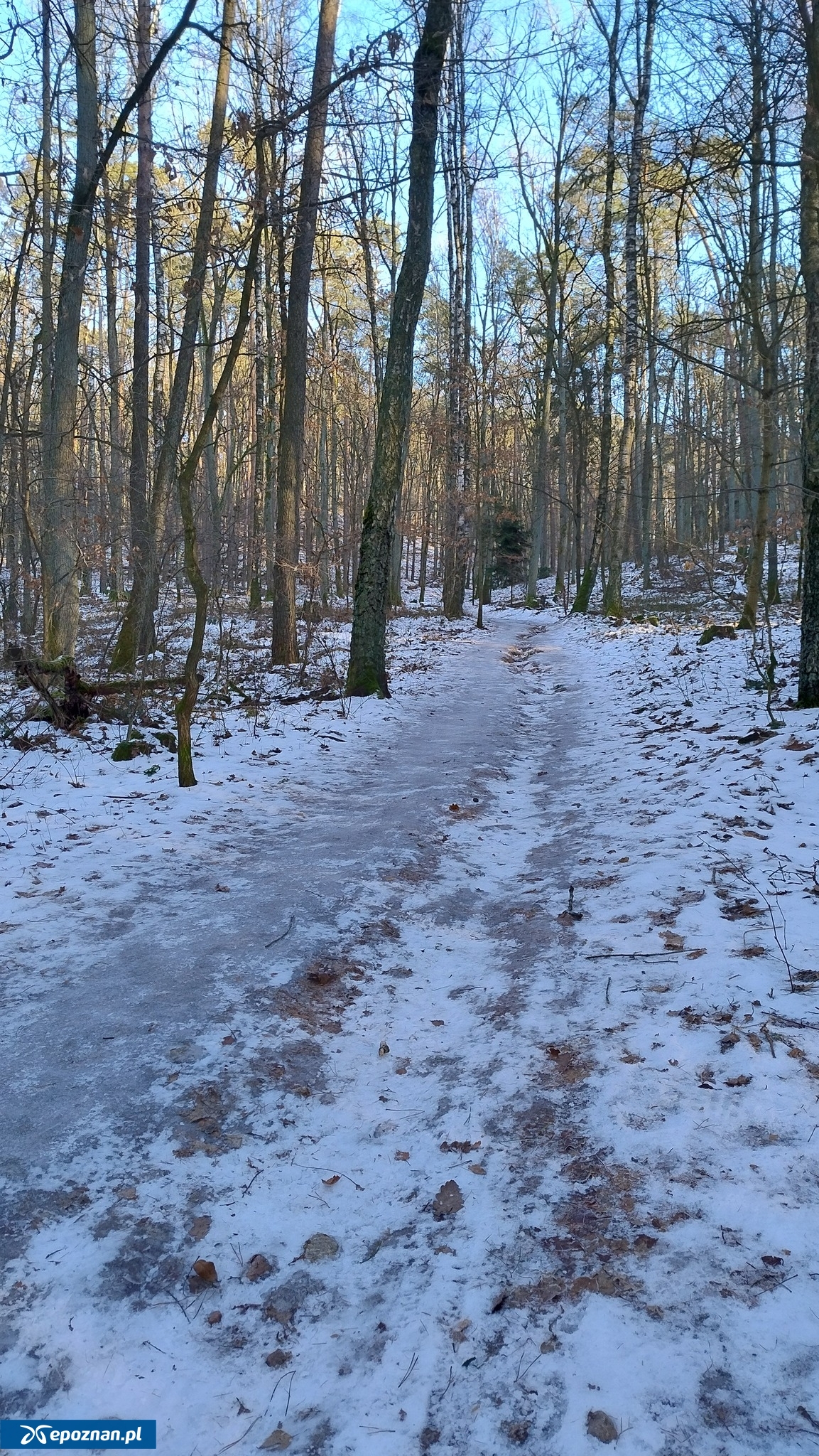 fot. Nadleśnictwo Łopuchówko / FB