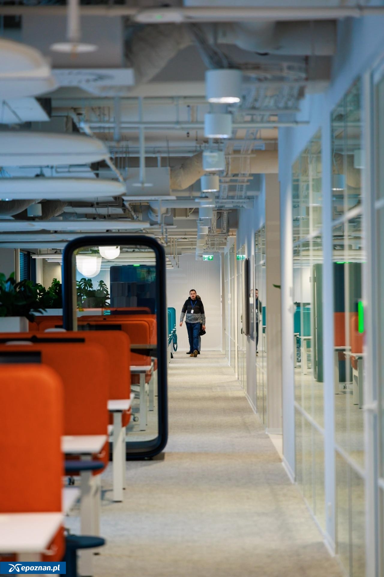 fot. materiały prasowe