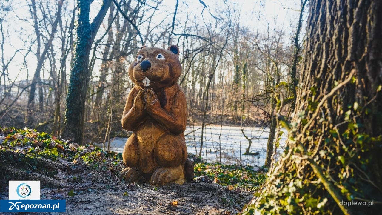 fot. Gmina Dopiewo / FB