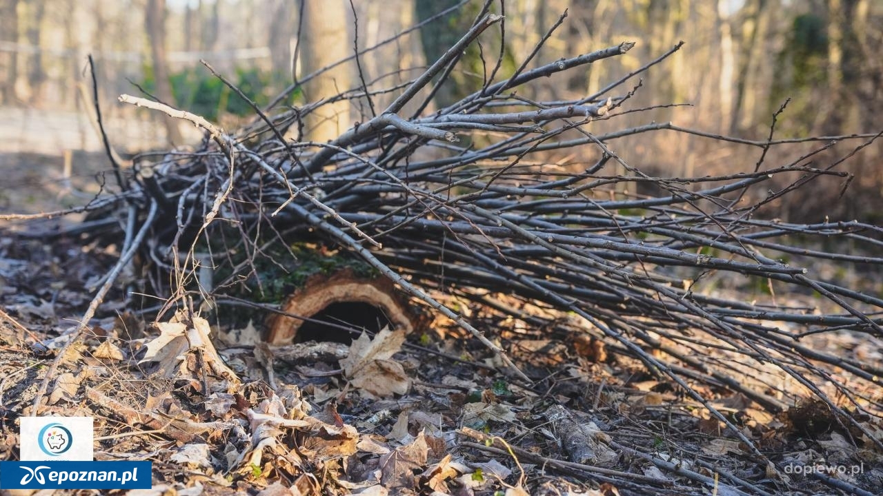 fot. Gmina Dopiewo / FB