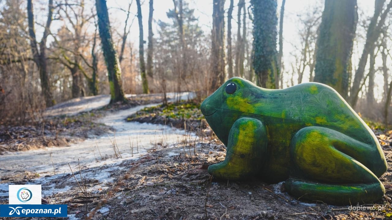 fot. Gmina Dopiewo / FB