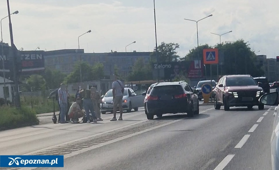 Są propozycje zmian na ważnej poznańskiej ulicy. Doszło tu do śmiertelnego wypadku