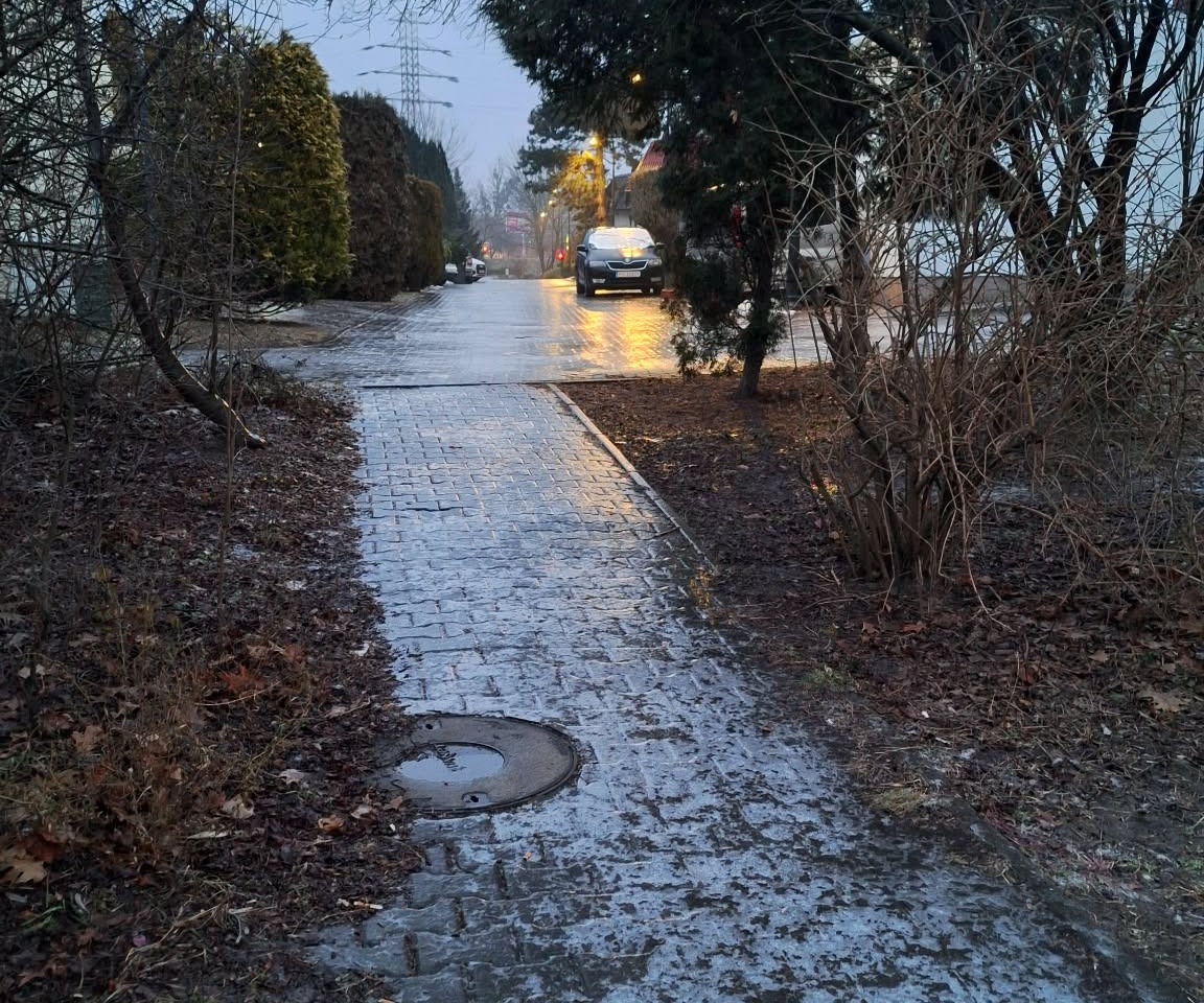 ZOO w poniedziałek zamknięte! "Bezpieczeństwo gości jest dla nas priorytetem"