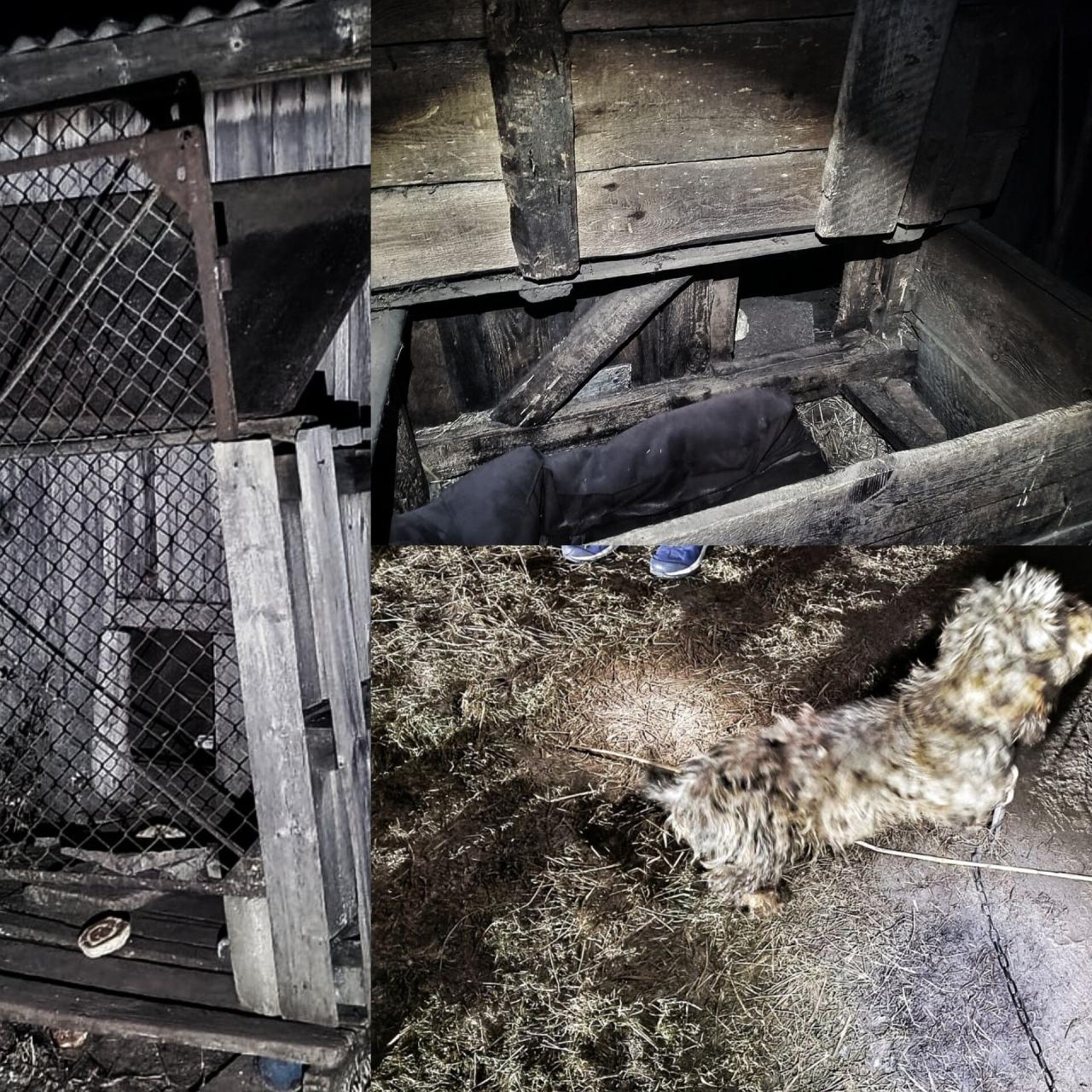 Region. Psy w fatalnym stanie odebrane właścicielom