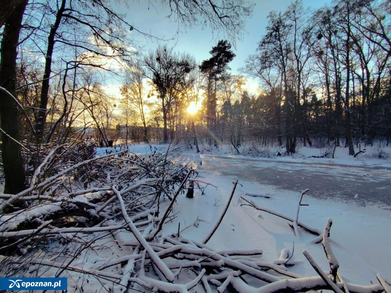 Do ZOO we wtorek znowu nie wejdziesz. "W związku z utrzymującym się silnym oblodzeniem"