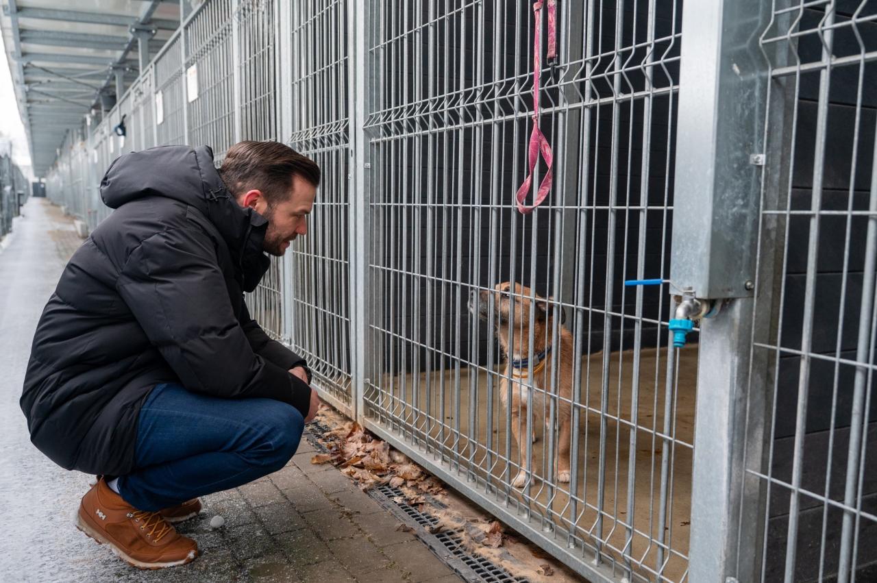 Marcin Gołek zapewnia, iż w poznańskim schronisku zwierzęta mają bardzo dobre warunki. Jest tu kilka psów z Sobolewa