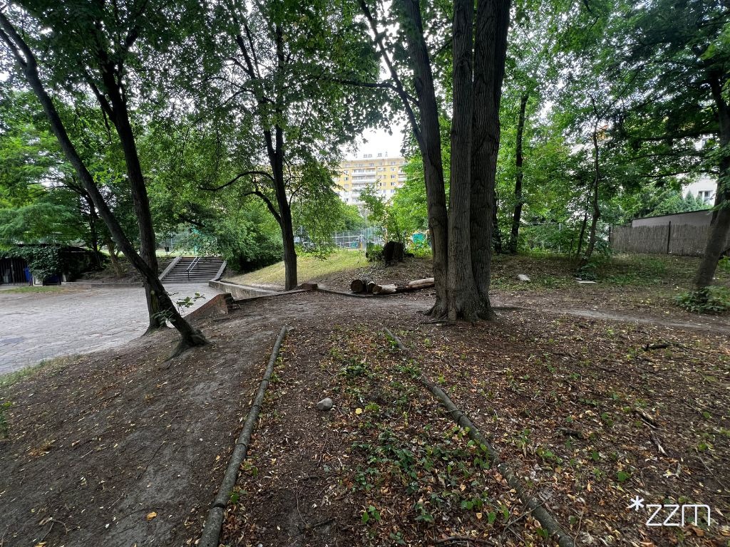 Kolejny skwer w mieście zostanie zrewitalizowany. Będą nowe drzewa i krzewy