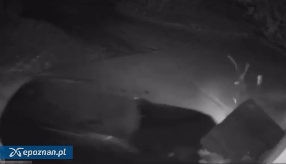 Wjechał autem w grupę osób w podpoznańskiej miejscowości. Sąd obniżył wyrok