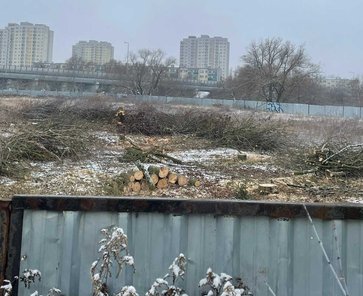 Wycinają drzewa pod nowy market w sąsiedztwie CH Posnania. Ma tu powstać też akademik