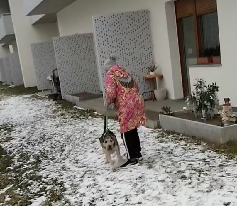 Pies bez kagańca zaatakował innego psa. Poszukiwana właścicielka agresywnego zwierzaka