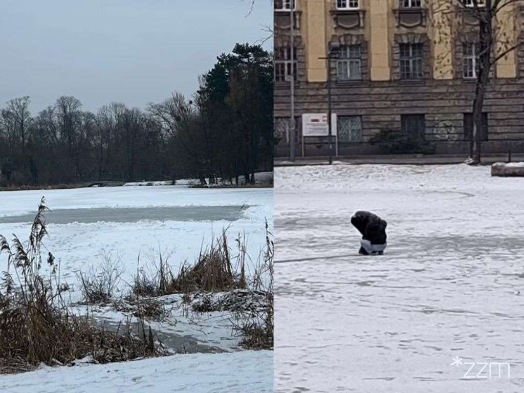 Cały czas to robią! Jest kolejny apel