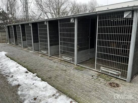 Taki widok w schronisku w regionie. "To nie błąd w obliczeniach"