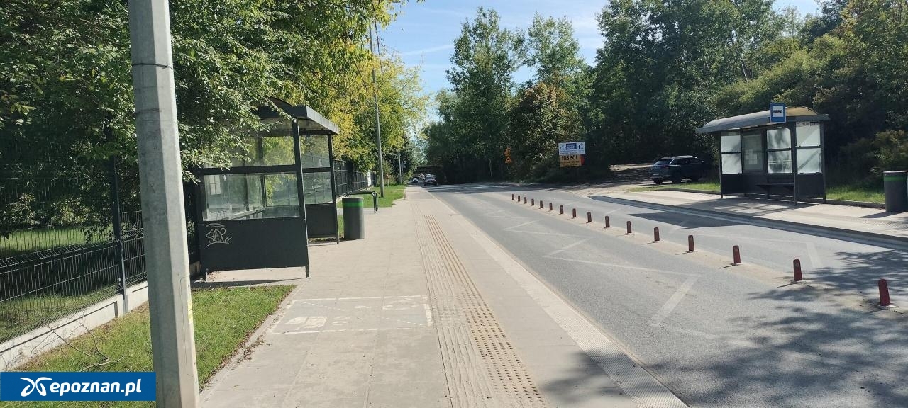 Po remoncie / Przystanek Schronisko dla zwierząt | fot. ZTM Poznań