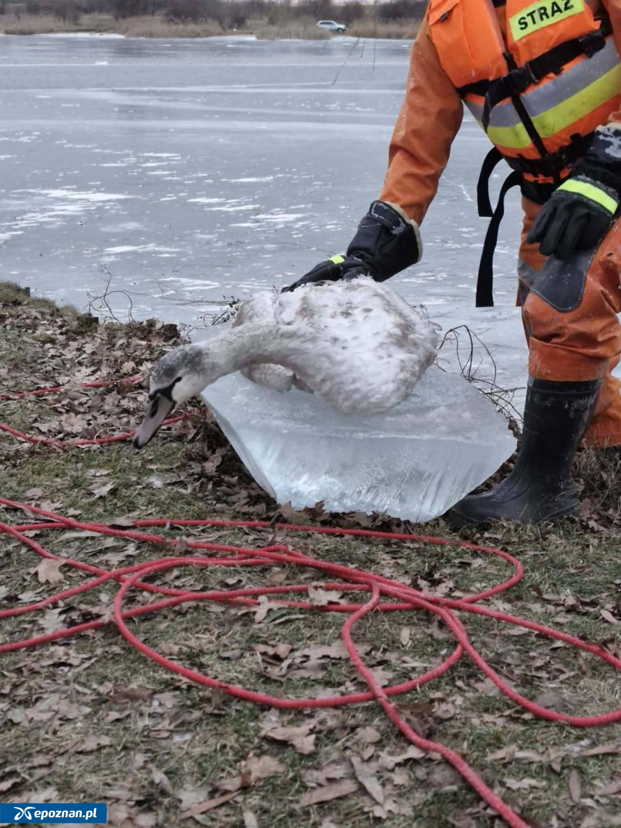 fot. OSP KSRG Nosków