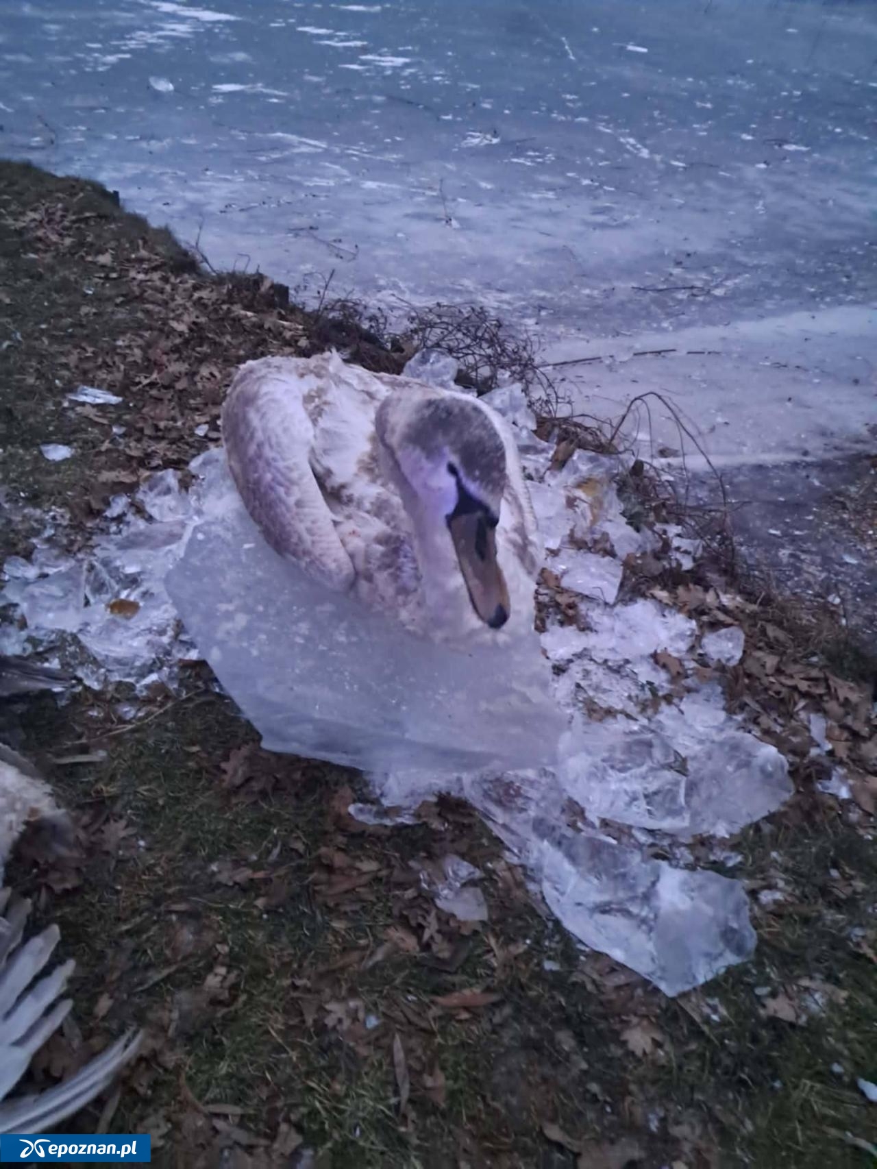 fot. OSP KSRG Nosków