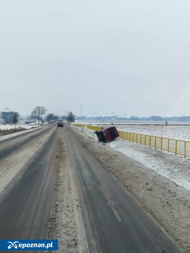 Bogdanowo / dk11 | fot. Łukasz