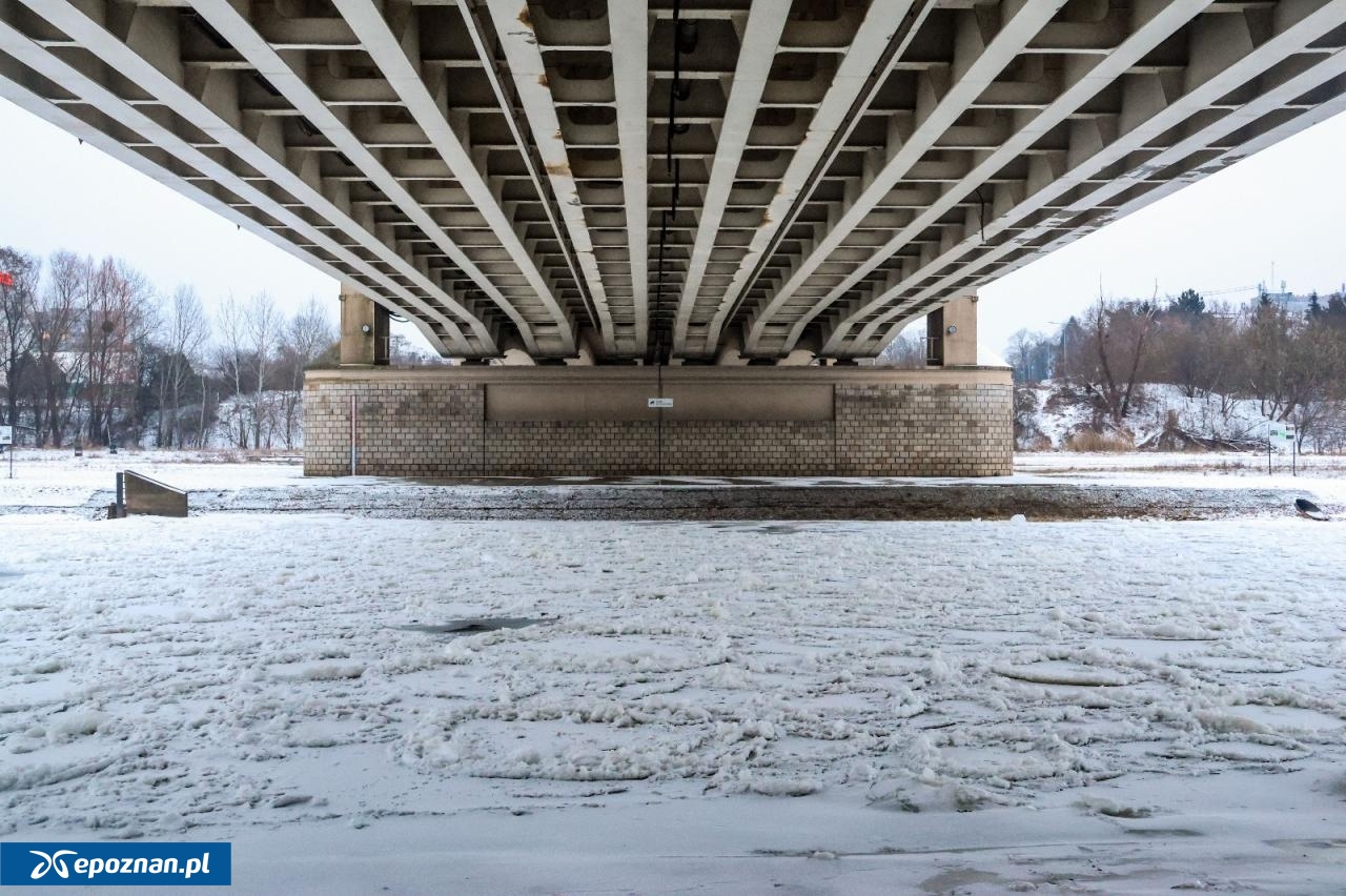 fot. Tomasz Sokołowski