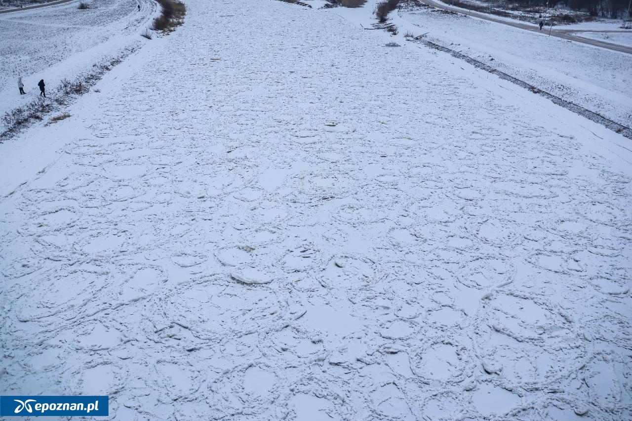 fot. Tomasz Sokołowski