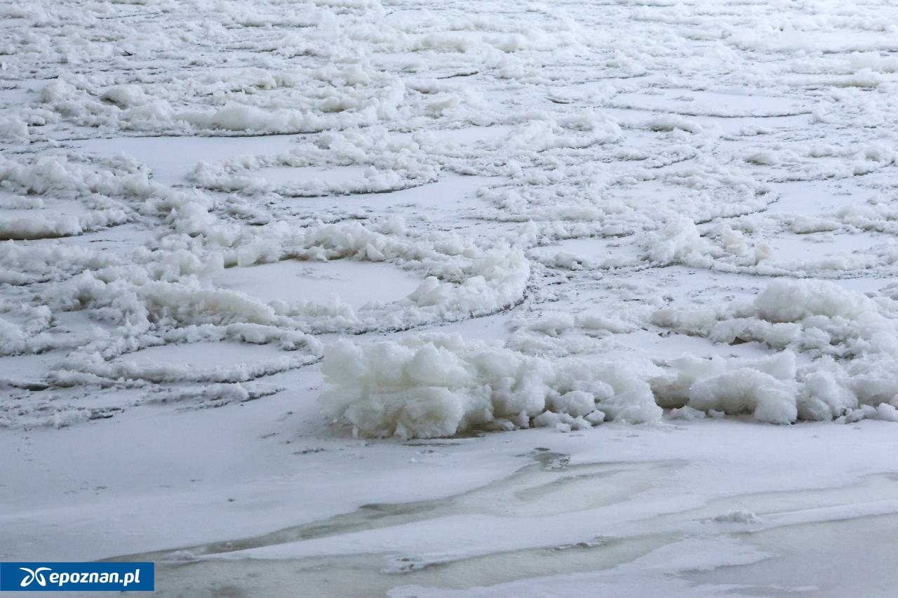 fot. Tomasz Sokołowski