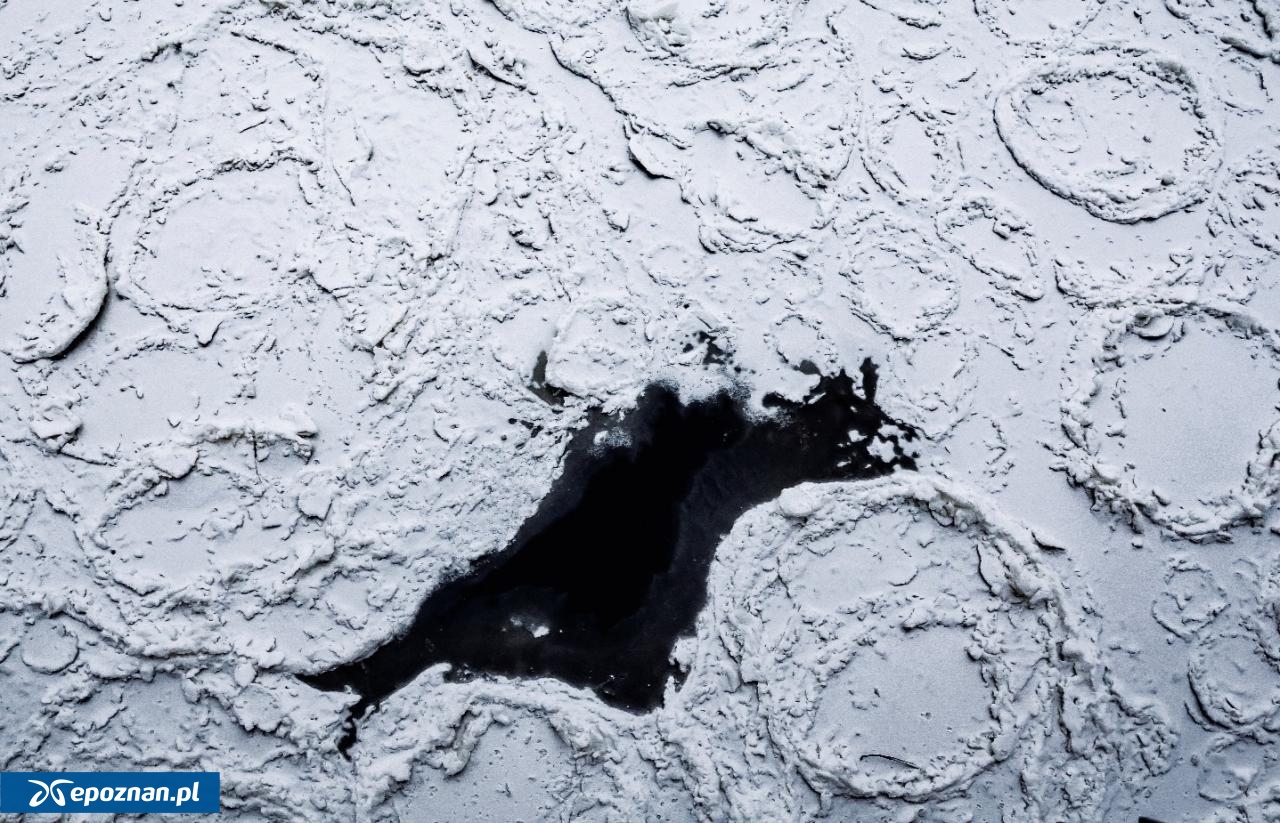 fot. Tomasz Sokołowski