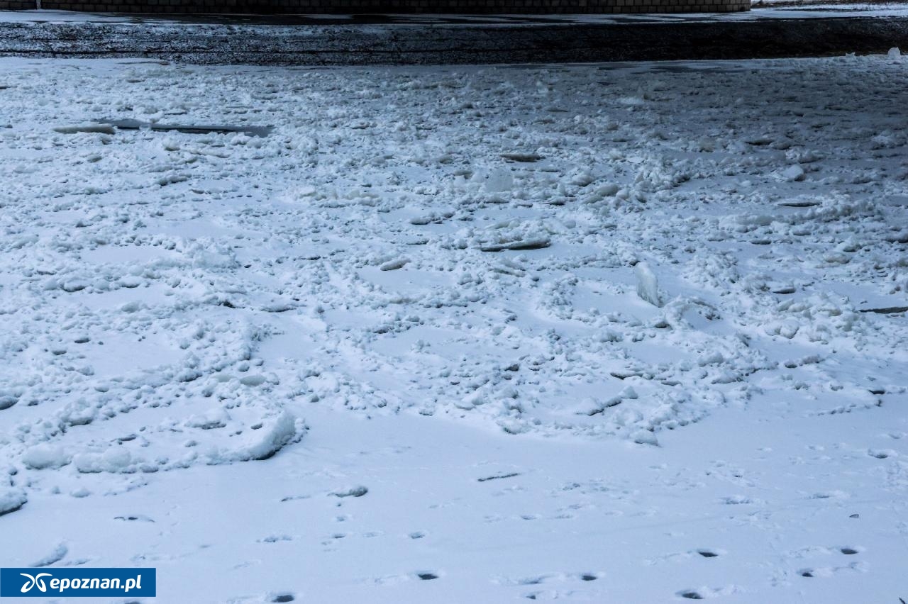 fot. Tomasz Sokołowski