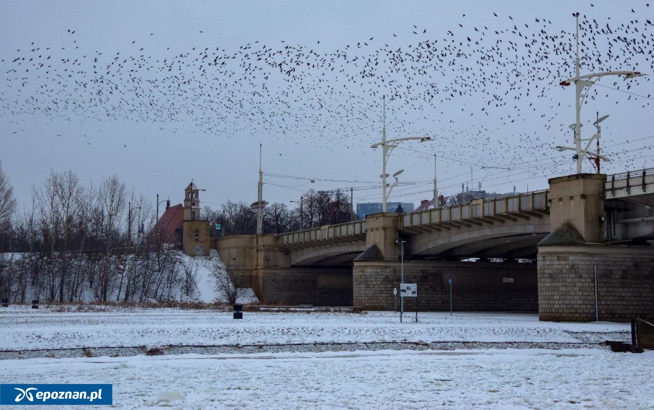fot. Tomasz Sokołowski