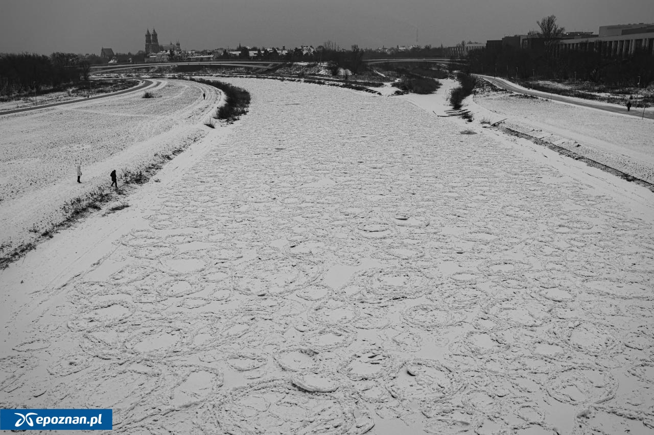 fot. Tomasz Sokołowski