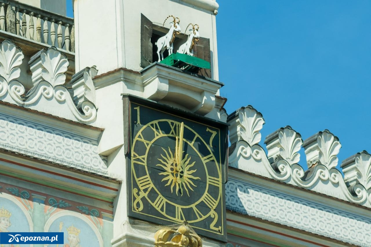 Zima zatrzymała poznańskie koziołki