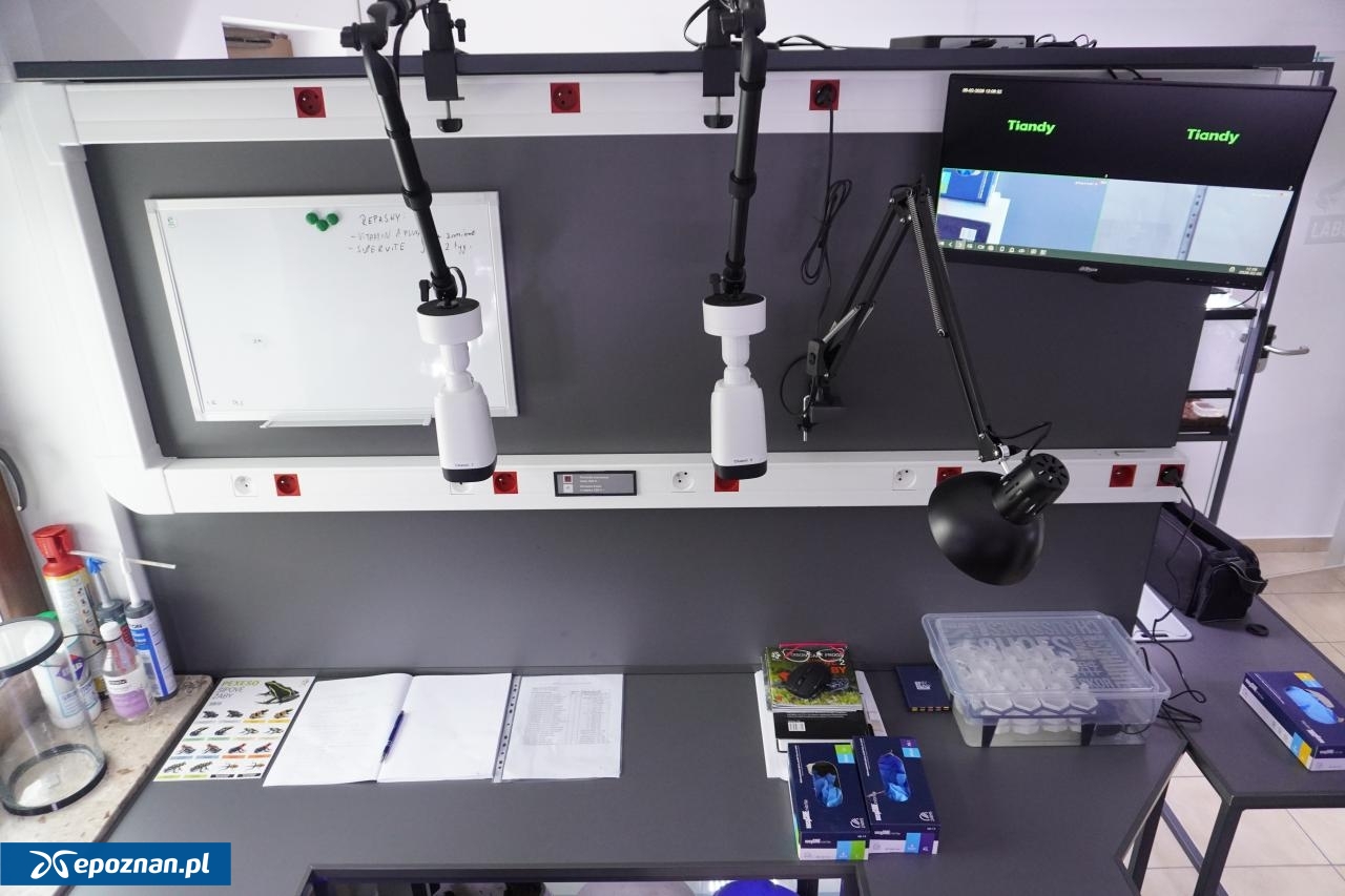 fot. Materiały prasowe