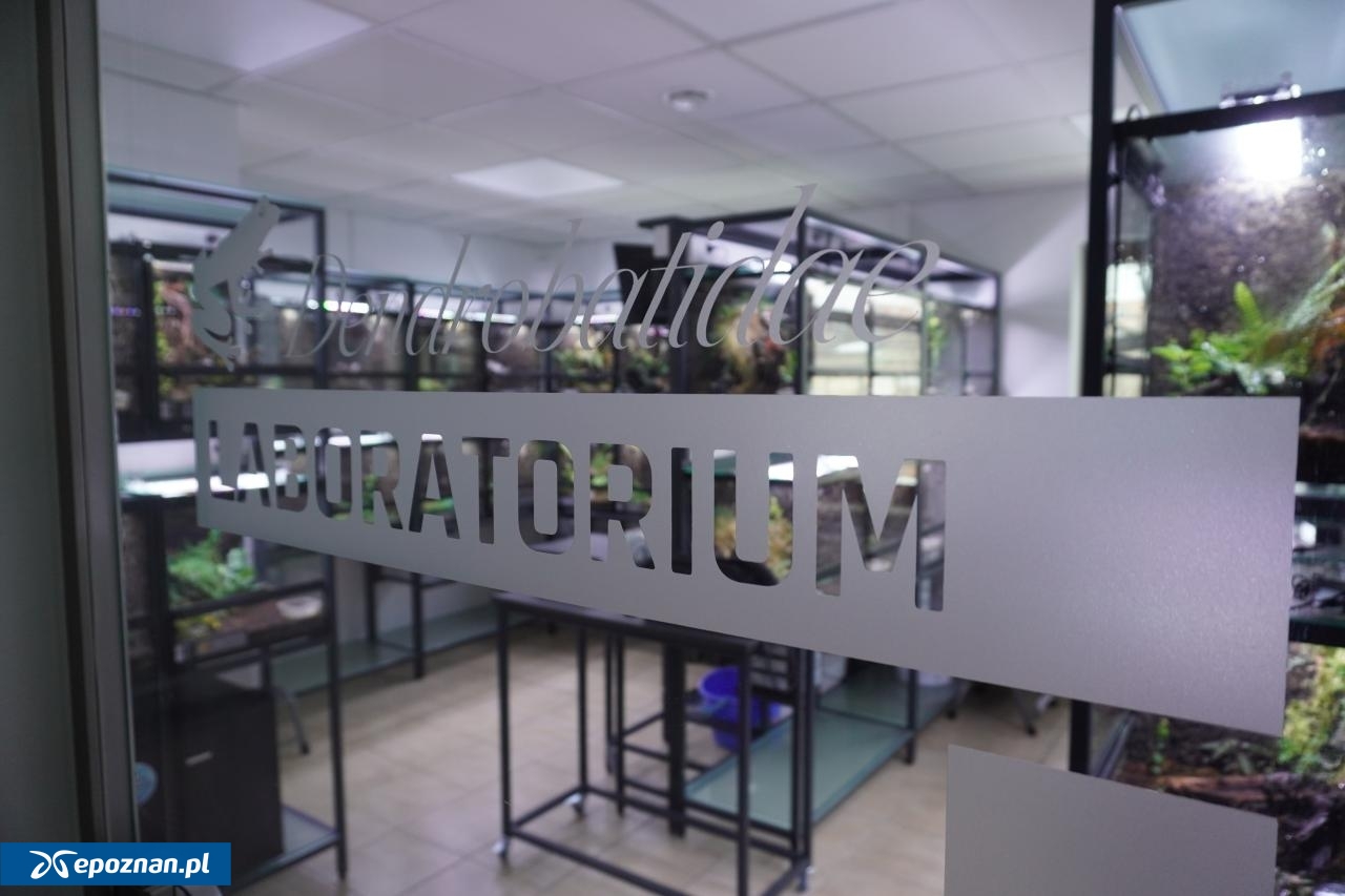 fot. Materiały prasowe