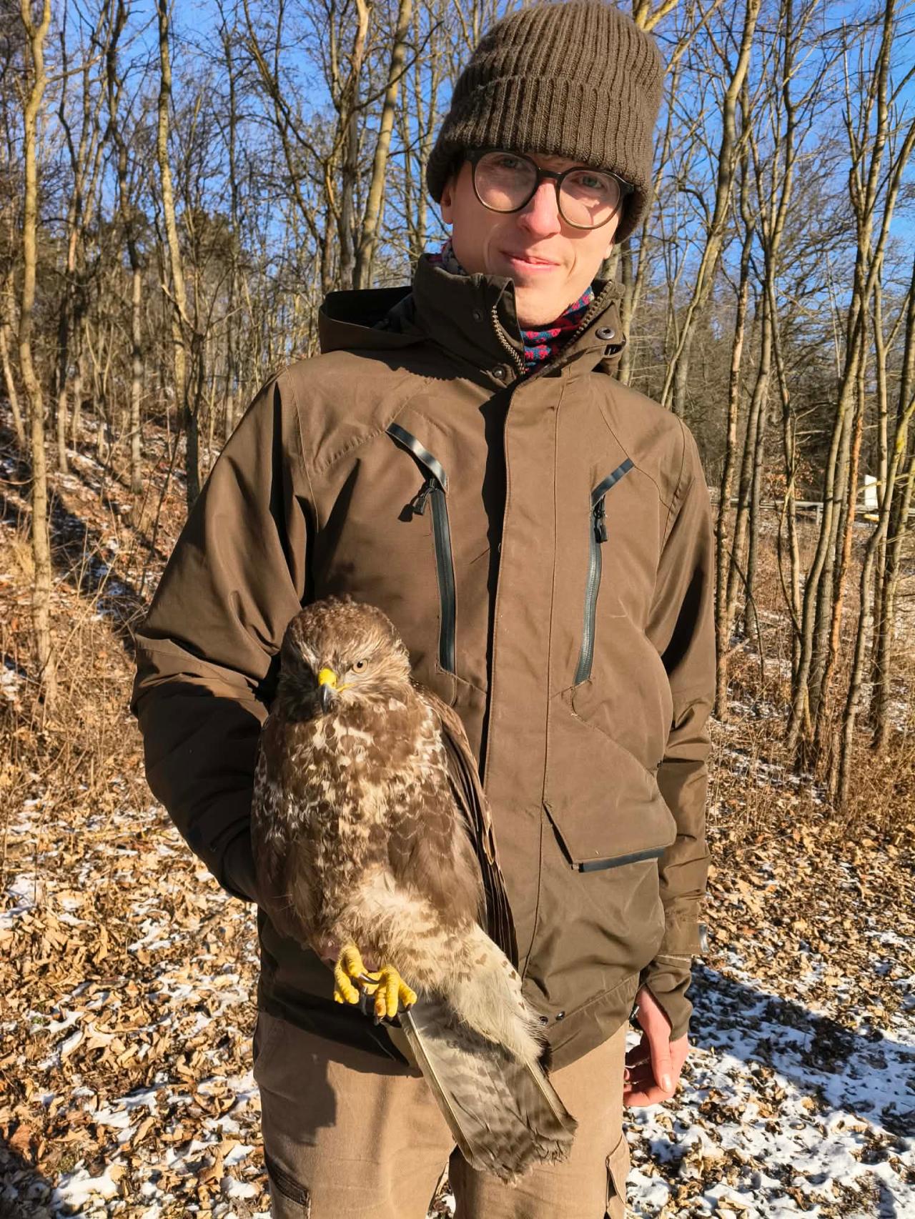 Skrajnie wycieńczony myszołów znaleziony pod Poznaniem. "Zaniepokoiło mnie to, iż ptak przestał reagować na obecność człowieka"