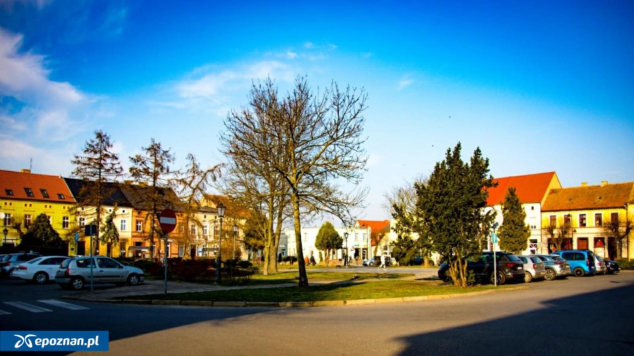 fot. Paweł Adam - Burmistrz Miasta i Gminy Buk / FB