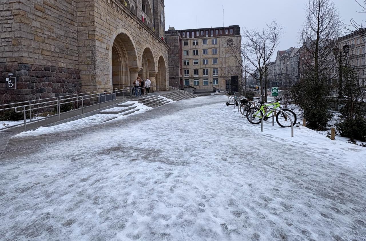Poznań stosuje selekcję naturalną na nieodśnieżonych chodnikach? "Panie Prezydencie, miasto to nie "Holiday on Ice", a Pan nie jest producentem horrorów"